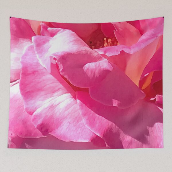 Item preview, Intriguingly Beautiful Pink Rose Close-Up In Dappled Light designed and sold by DEC02.