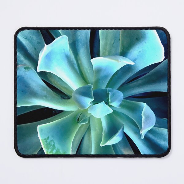 Item preview, Breathtaking Ribbon-Shaped Aqua Blue Succulent Art Photo  designed and sold by DEC02.