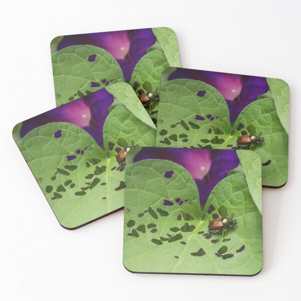 Item preview, Japanese Beetle Eating Holes in the Foliage of a Morning Glory Leaf designed and sold by LINDA MCKUSICK.
