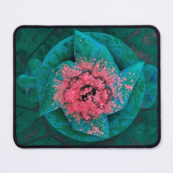 Item preview, Pinwheel & circles are sprinkled with bright confetti designed and sold by MYTOPSHELF.