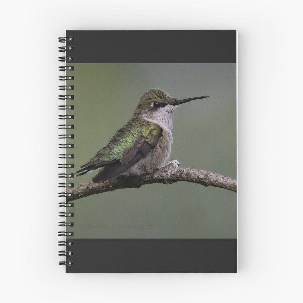 Item preview, Hummingbird at Rest designed and sold by BirdsBugsBeyond.