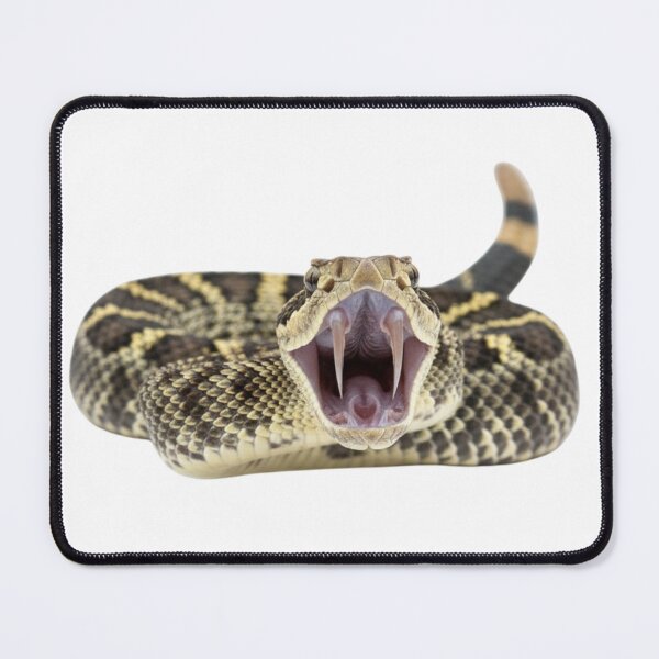 Item preview, Rattlesnake attacks designed and sold by DanG8.