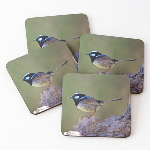 Item preview, Superb Fairy Wren designed and sold by D-GaP.