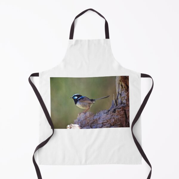 Item preview, Superb Fairy Wren designed and sold by D-GaP.