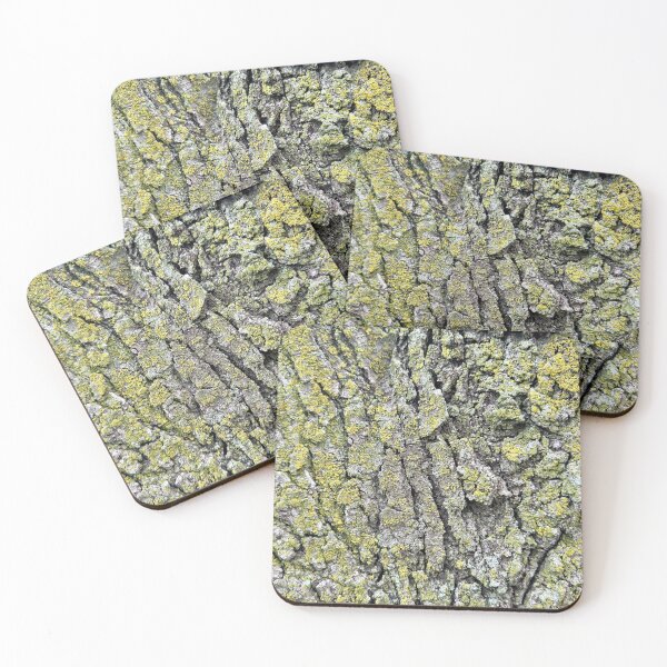 Item preview, Lewis and Clark Rest Area IA Study 6 designed and sold by Robert Meyers-Lussier.