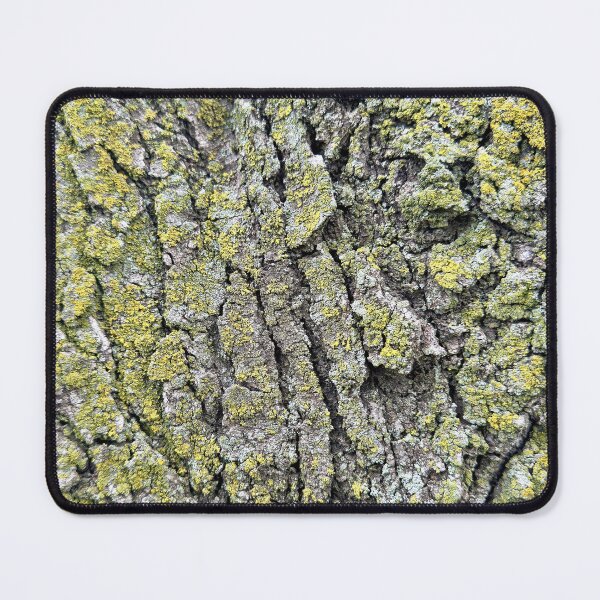 Item preview, Lewis and Clark Rest Area IA Study 6 designed and sold by Robert Meyers-Lussier.