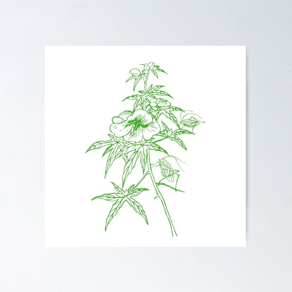 Item preview, Peony Blossom with Katydid designed and sold by JollyCritters.