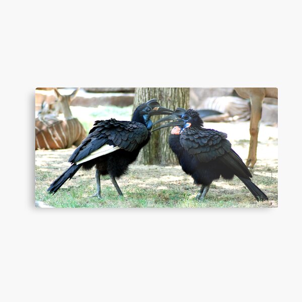 Gossip Metal Print