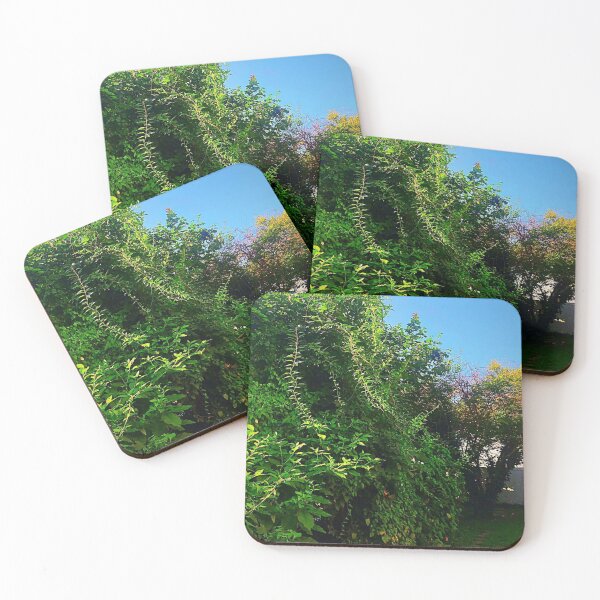 Item preview, Tidal Garth Brooks Pool Whispers designed and sold by Byung- hoon.