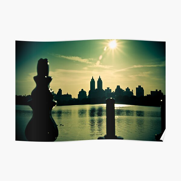 View from Central Park Poster