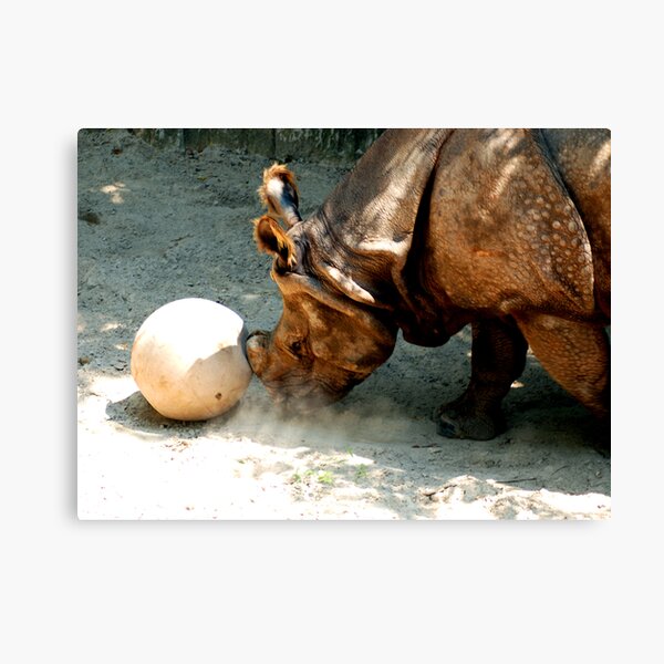 All in a days work Canvas Print
