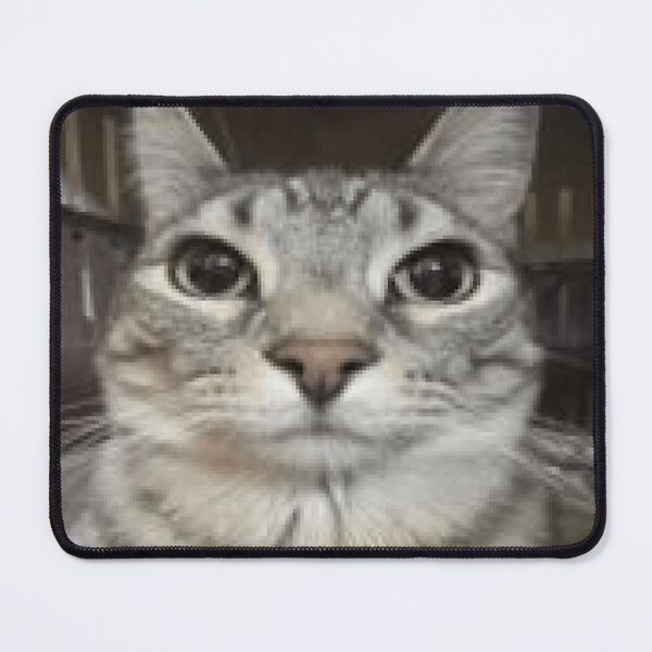 Item preview, Wait I'M Goated Cat Humor Meme I'M Goated Funny Cat Meme designed and sold by brinfrancis6185.