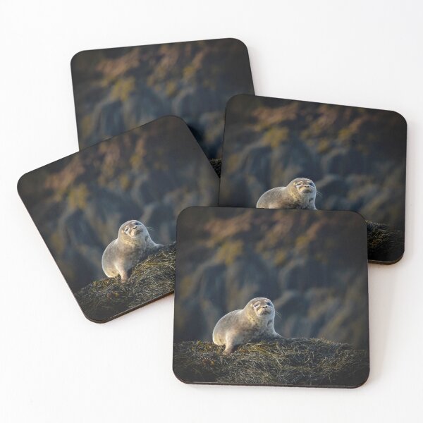 Item preview, Young Harbor Seal  designed and sold by Shannon Emmel .
