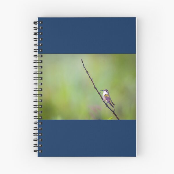 Item preview, Ruby-throated Hummingbird Perched designed and sold by Shannon Emmel .