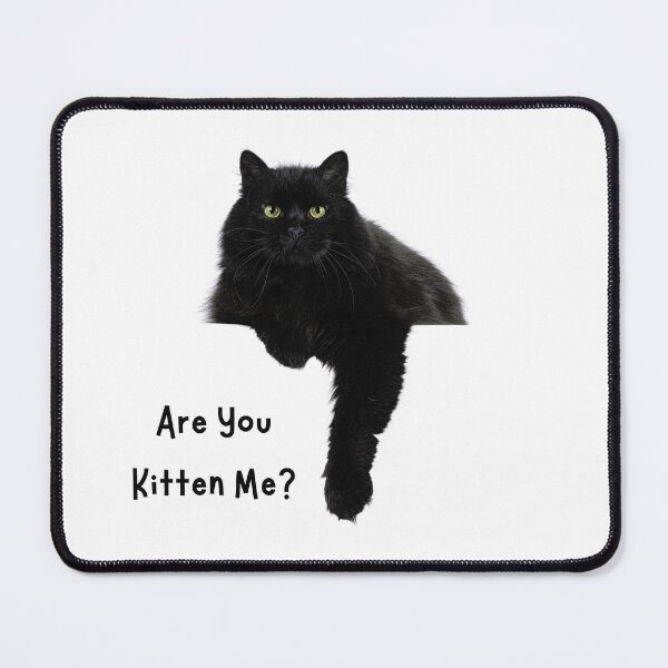 Item preview, Are You Kitten Me? Sassy Cat memes designed and sold by Nikiolilalala.