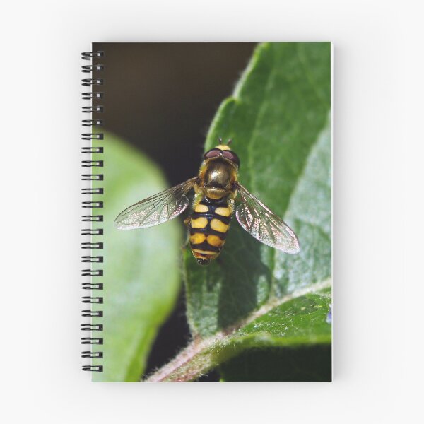 Item preview, Hoverfly designed and sold by GreyFeatherPhot.