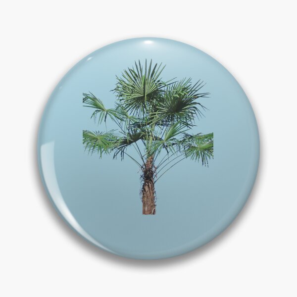 Artikelvorschau, Sabal Palmetto Palme entworfen und verkauft von taiche.