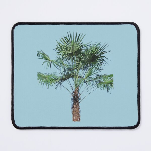 Item preview, Sabal Palmetto Palm Tree designed and sold by taiche.