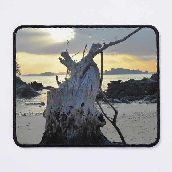 Item preview, Still Standing – Natural force in its purest form designed and sold by Eric Nagel.