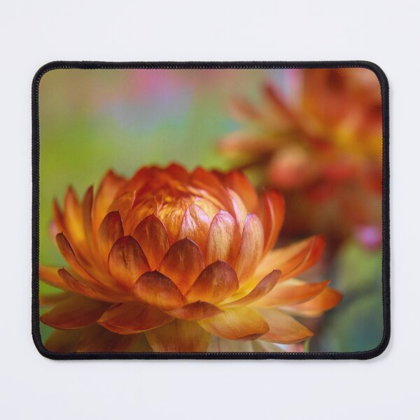 Item preview, Vibrant Bloom in Soft Focus designed and sold by Veikko Suikkanen.