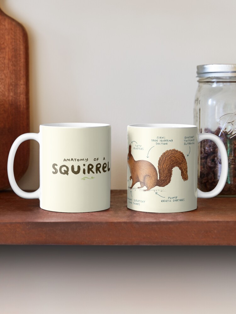 Alternate view of Anatomy of a Squirrel Mug