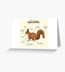 Anatomy of a Squirrel Greeting Card