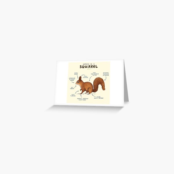 Anatomy of a Squirrel Greeting Card