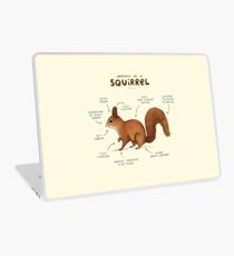 Anatomy of a Squirrel Laptop Skin