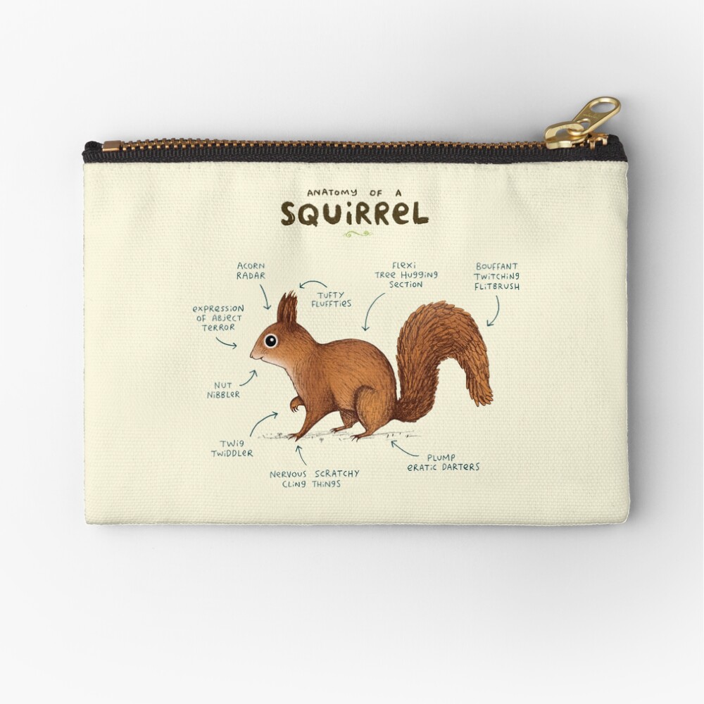 Anatomy of a Squirrel Zipper Pouch