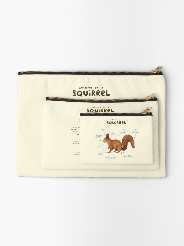 Alternate view of Anatomy of a Squirrel Zipper Pouch