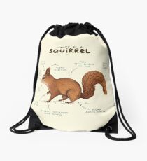 Anatomy of a Squirrel Drawstring Bag