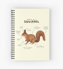 Anatomy of a Squirrel Spiral Notebook
