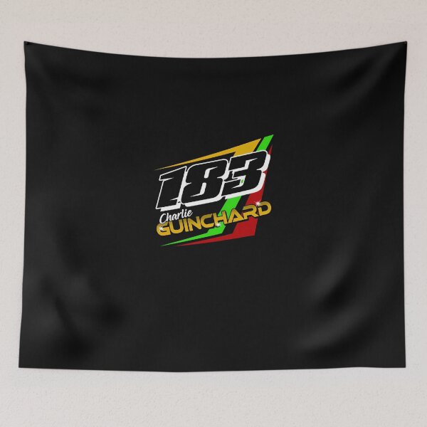 Item preview, 183 Charlie Guinchard Brisca Stock Car Racing 2022 designed and sold by votoygmwd.