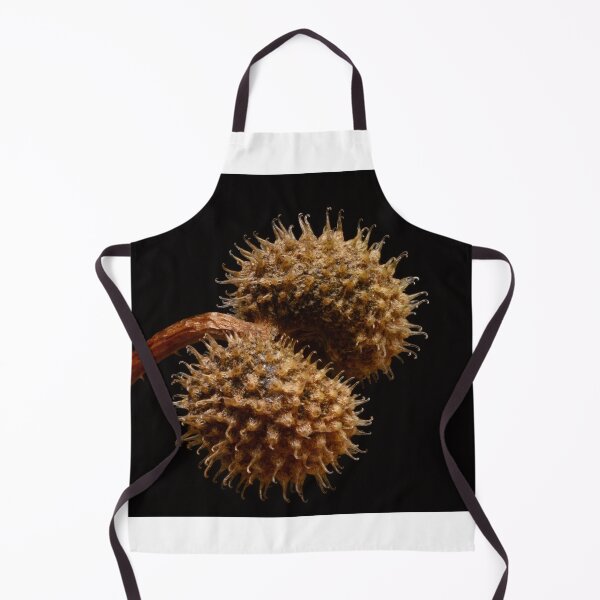 Item preview, Macro of Dry Spiky Seed Pod on Black Background designed and sold by Goiko7Margarita.