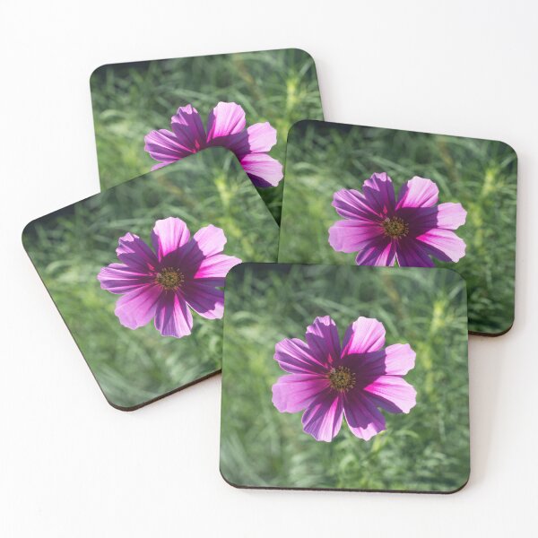 Item preview, Vibrant Pink Cosmos Blossom in Sunlight designed and sold by Georgia Mizuleva.