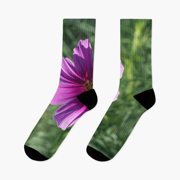 Item preview, Vibrant Pink Cosmos Blossom in Sunlight designed and sold by Georgia Mizuleva.