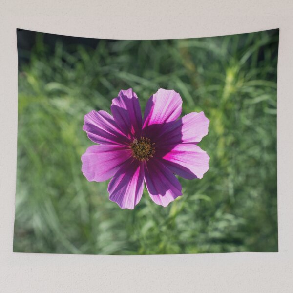 Item preview, Vibrant Pink Cosmos Blossom in Sunlight designed and sold by Georgia Mizuleva.