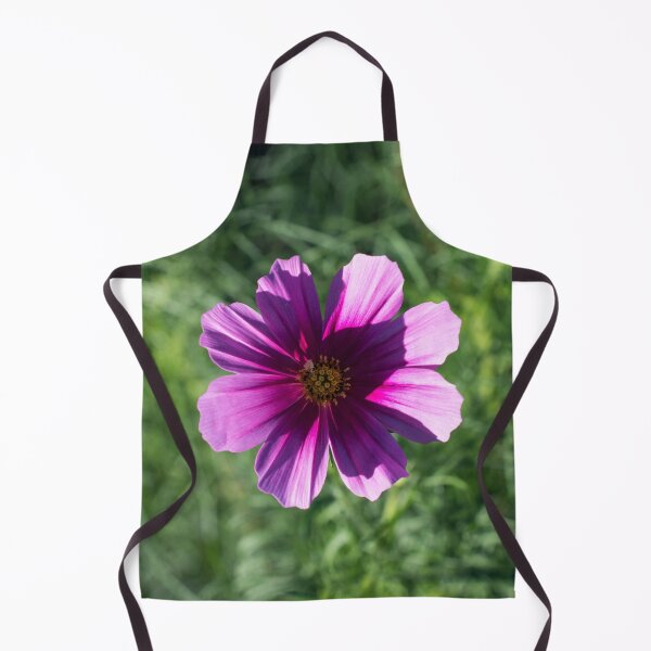 Item preview, Vibrant Pink Cosmos Blossom in Sunlight designed and sold by Georgia Mizuleva.