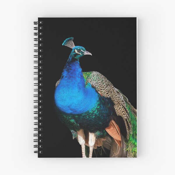 Item preview, Majestic Peacock – Vibrant Bird Art designed and sold by Milla-Muck.