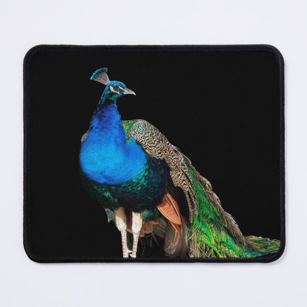 Item preview, Majestic Peacock – Vibrant Bird Art designed and sold by Milla-Muck.