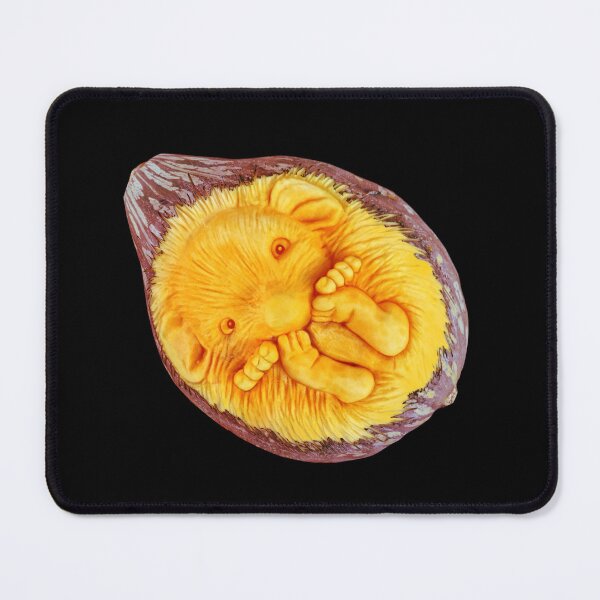 Item preview, Cute hedgehog pumpkin carving lying on its back. designed and sold by Jilles Creative Studio.
