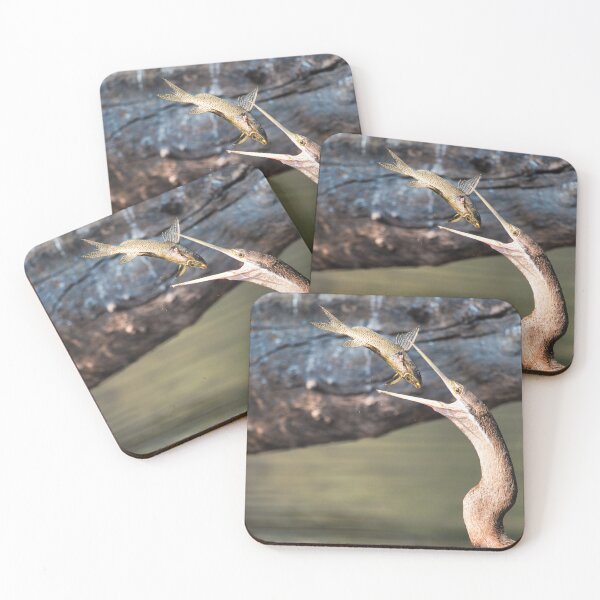 Item preview, African Darter Catching Fish – Wildlife Action Photography designed and sold by RastislavS.