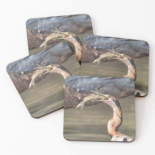 Item preview, African Darter with Fish – Wildlife Bird Photography designed and sold by RastislavS.
