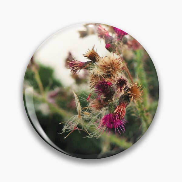 Item preview, Cardoon designed and sold by 2You.