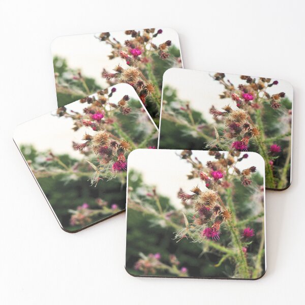 Item preview, Cardoon designed and sold by 2You.