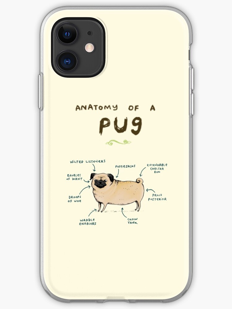 Hedgehog Yoga iphone 11 case Hedgehog Yoga iphone 11 case