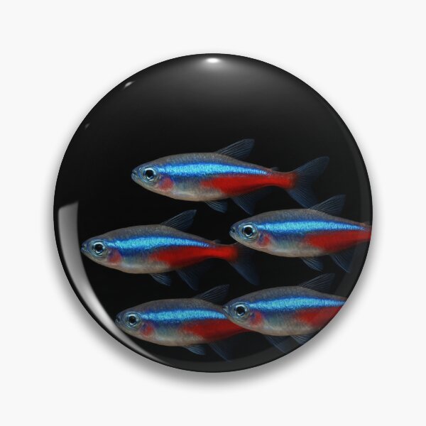 Item preview, Neon tetra fish. designed and sold by moths-minor.