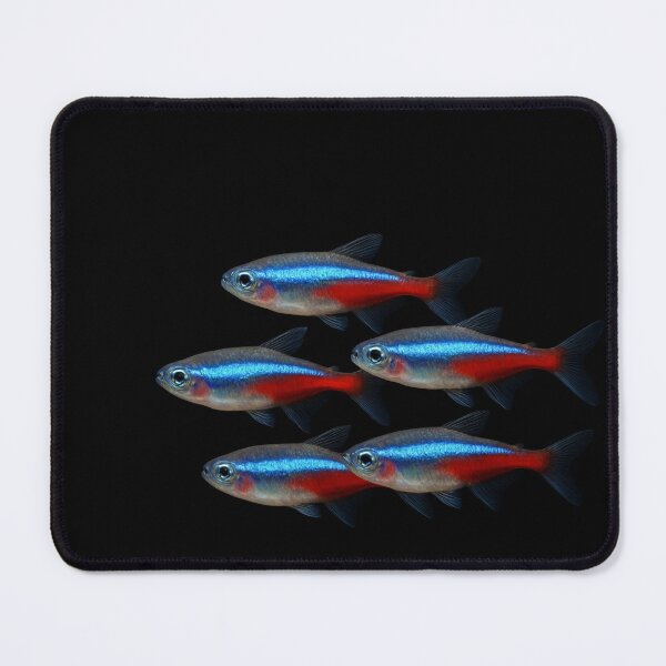 Item preview, Neon tetra fish. designed and sold by moths-minor.