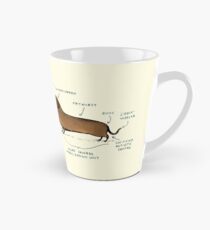 Anatomy of a Dachshund Tall Mug