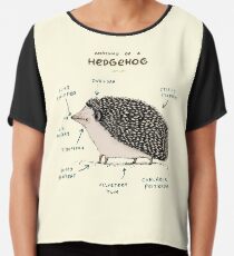 Anatomy of a Hedgehog Chiffon Top